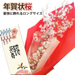 [ R` N  120cm 4`5{ N }   ԑ R` v[g Ε Nn  ̉ ʉ Ԍ Ԍ Nn N l l̓  ̔ ؂ Ԍt [