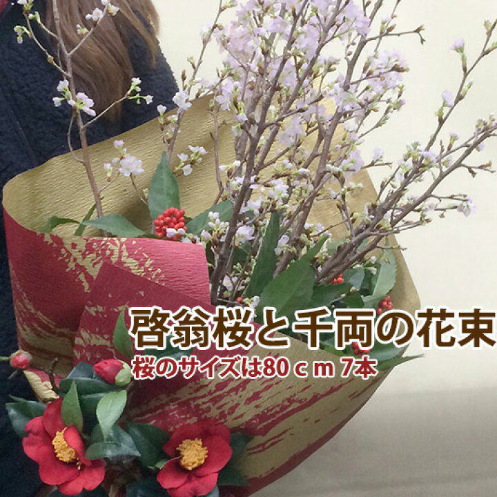 楽天市場 啓翁桜 桜 花束 山形 花束 80ｃｍ ７ ８本入り 桜と千両の花束 桜の長さは家庭で飾るに丁度良い長さ 送別 卒業 入学 送別会 花束 プレゼント 送料無料 花 プレゼント 花 アレンジメント 正月 正月飾り フラワーギフト 花ギフト 花ギフト 山形産果物野菜 花樹有