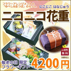 jRjRԏd@aَqBOX̃Zbg |Cg 100~ 300~ 500~