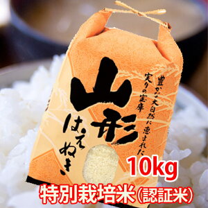  10kg   ͂ʂ R`Y ʍ͔| V _Y |Cg 100~ 300~ 500~