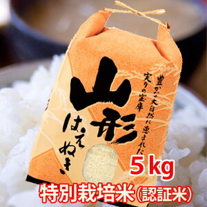  5kg   ͂ʂ R`Y ʍ͔| V _Y |Cg 100~ 300~ 500~