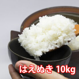 はえぬき 米 新米 特a はえぬき米 白米 10kg 送料無料 山形 山形県 令和 2019年新米 新米令和元年 31年 新米予約 令和新米 令和元年新米 令和元年 無洗米 玄米 お米 5kg 農産物 予約 ポイント消化 100円 300円 500円