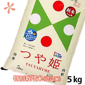 V \  P 5kg  ߘa 2025NV ʍ͔| Ђ  A R`  oYj   _Y |Cg 100~ 300~ 500~