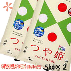 \ V  P 10kg  ߘa6N 2025NV ʍ͔| Ђ  A R`  oYj   _Y |Cg 100~ 300~ 500~