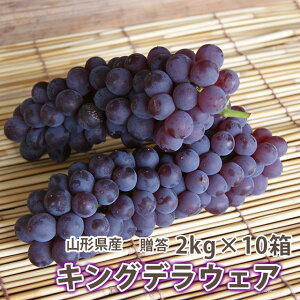 LOf LOfEFA Ԃǂ  uhE  y G  2kg itj10 R`s {Y z  Mtg ʕ  햳 fEFA hV̓ _Y |Cg 100~