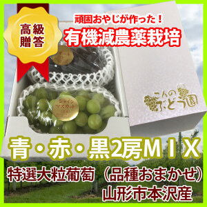 hV̓  Ԃǂ R` Yn  y 嗱uhE@܂MIX2[ zVC}XJbg sI[l  UIrAR VimX}C X`[x _Y 2kg |Cg