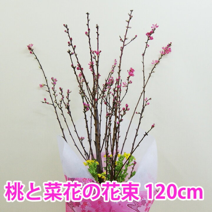 楽天市場 桃の節句 ひな祭り ひなまつり 桃の花 菜の花 花束 ロングサイズ 1ｃｍ 初節句 雛祭り 飾り 桃の節句フェア おしゃれ ギフト お返し お雛様 コンパクト 玄関 女の子 インテリア 雛人形 内祝い 花ギフト ポイント消化 100円 300円 500円 花ギフト 山形