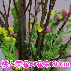 楽天市場 ひなまつり 桃の花の通販