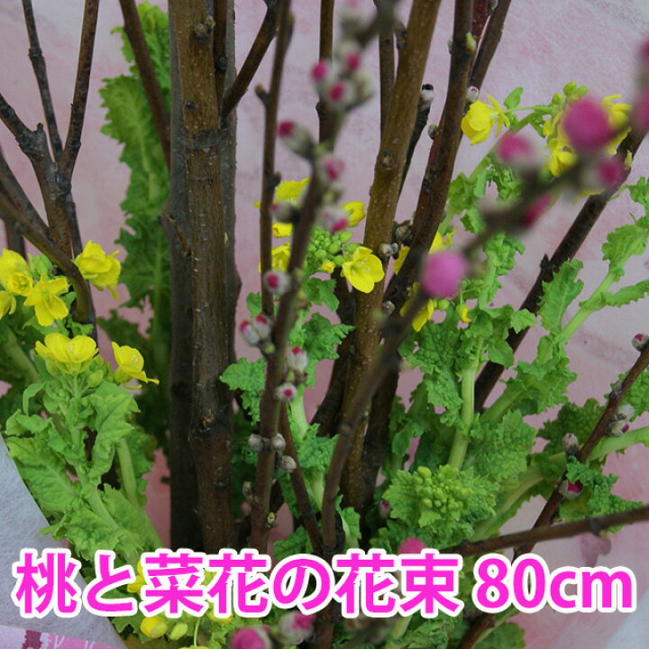 楽天市場 桃の節句 ひな祭り ひなまつり 桃の花 菜の花 花束 家庭で飾るに丁度いいサイズ 80ｃｍ 初節句 雛祭り 飾り 桃の節句フェア おしゃれ ギフト お返し お雛様 コンパクト 玄関 女の子 インテリア 雛人形 内祝い 花ギフト ポイント消化 100円 300円 500円