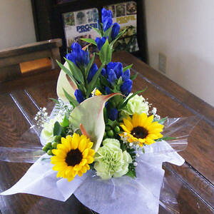 vw̓ v[g Mtg  ؂₩ Ђ܂ q}  hE AWg i   a j    ` ` 蕨 CeA JXj ސEj 