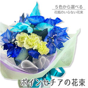 |CZ`A ԑ y ~iXu[P IWi ߂ FIׂ ԕr̗vȂԑ z u[ IW sN u[P ԑv[g NX}X  a  S[h v[g