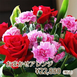 vw̓ vɂ܂ t[AW 22880~  z {͂ ͂  VN  G߂̉ nEB NX}X  Ε  @v   a