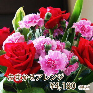 vw̓ vɂ܂ t[AW 4180~  z {͂ ͂  VN  G߂̉ nEB NX}X  Ε  @v   a