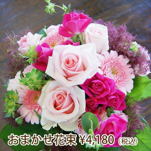 vɂ܂ ԑ 4180~  z {͂  VN G߂̉ hV̓ ފ  @v   a LO JXj j j o^C zCgf[ 