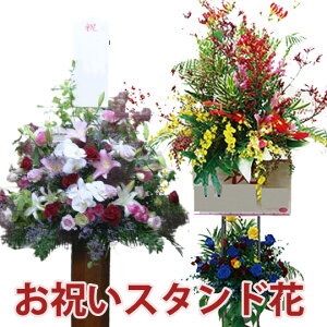 j X^h 22880~ JXj J@j JƏj oYj a LO j t[} zB z {͂ ͂  VN ؊ p v[g ԑ 