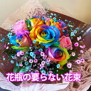 レインボーローズ 虹色 バラ 薔薇 花束 【 花瓶の要らない花束 デコールブーケ 】 生花 本物 花 花言葉 意味 値段 5月の節句 卒業式 入学式 送別会 誕生日 結婚記念日 プロポーズ 送別 卒業 入学 作り方 待ち受け 100本 1本 1輪 花ギフト