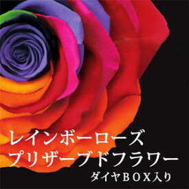 楽天市場 虹色 花 プリザーブドフラワー 花 観葉植物 花 ガーデン Diyの通販