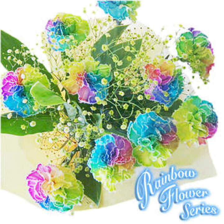 楽天市場 レインボーカーネーション 母の日 カーネーション プレゼント ギフト 10本 カスミ草 花束 フラワーギフト 送料無料 鉢植え ギフトセット 花束 プリザーブドフラワー 花ギフト スイーツ 誕生日 お中元 レインボーガーベラ レインボーローズ 花ギフト 楽天市場 レインボーカーネーション 母の日 カーネーション プレゼント ギフト 10本 カスミ草 花束 フラワーギフト 送料無料 鉢植え ギフトセット 花束 プリザーブドフラワー 花ギフト スイーツ 誕生日 お中元 レインボーガーベラ レインボーローズ 花ギフト