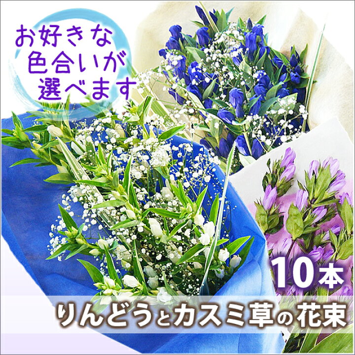 楽天市場 りんどう リンドウ 敬老の日 お彼岸 フラワーギフト ギフト プレゼント 花束 送料無料 色が選べる りんどうとカスミ草の花束 10本 ピンク ブルー ホワイト お盆 花 桃色 青 白 アレンジメント 白寿 生花 花ギフト 花ギフト 山形産果物野菜 花樹有