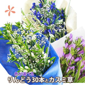 リンドウ 花束 生花の人気商品 通販 価格比較 価格 Com