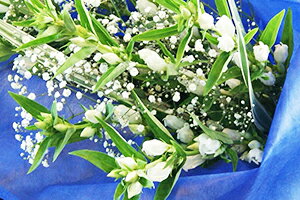 いい夫婦の日 リンドウ カスミ草 花束 20本 山形産 蔵王リンドウ りんどう リンドウ 花 ギフト 生花 アレンジメント 紫 白 青 華やか 上品 母 父 義母 義父 贈り物 プレゼント 送料無料 花鉢 苗