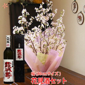 啓翁桜 花見酒 120cm 4～5本 日本酒 寿虎屋酒造 出羽桜酒造 桜花吟醸酒 セット 桜 枝 生花 さくら 花束 山形 プレゼント ひな祭り バレンタイン ホワイトデー 卒業 入学 送別 販売 切り花 花言葉 啓翁桜とは 価格 育て方 通販 さくらの花 花ギフト