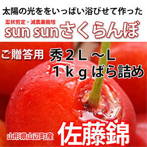 佐藤錦 1kgの人気商品 通販 価格比較 価格 Com