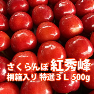  gG R`  Mtg  y I G3L 500g ˔ N (BS-K3) z v[g `F[  TN{  j G Gi 1kg 2l gG R _Y |Cg