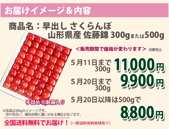 驚きの価格 山形産 さくらんぼ サクランボ 佐藤錦 又は 紅秀峰 特秀２ｌ 500g 手詰め ｎｏ２ 贈答用 まる勘山形 Rmladv Com Br