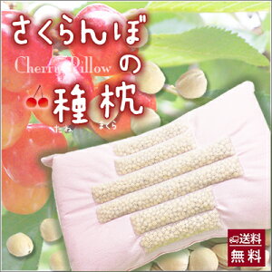  Mtg  ܂ y ڎ햍 Jo[ t z   햍 g  т ᔽ  I[_[Ch hV̓ |Cg 100~ 300~ 500~