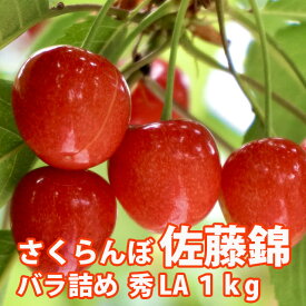 さくらんぼ 佐藤錦 山形 贈答 ギフト 送料無料 【 秀 LA 1kg ばら詰め 佐藤N (S-004) 】 プレゼント チェリー お中元 サクランボ お中元 内祝い 特秀 秀品 1kg 2l 紅秀峰 月山錦 農産物 ポイント消化