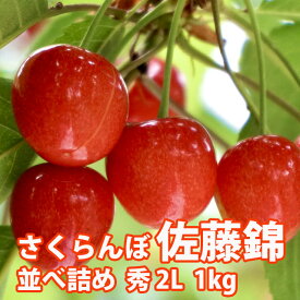 さくらんぼ 佐藤錦 山形 贈答 ギフト 送料無料 【 秀2L 1kg 手詰め 並べ詰め 佐藤N (S-009) 】 プレゼント チェリー お中元 サクランボ お中元 内祝い 特秀 秀品 1kg 2l 紅秀峰 月山錦 農産物 ポイント消化