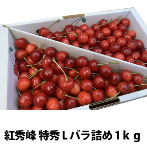  2026N gG G L ol 1kg ۊ R` MK  Mtg  l ׋l v[g `F[  TN{  ڍ \ c G 1kg 