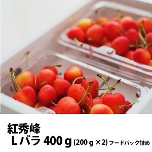  2026N gG L t[hpbNl 400g ۊ R` MK  Mtg  l ׋l v[g `F[  TN{  ڍ \ c G 1kg 
