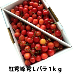  2026N gG G L ol 1kg ۊ R` MK  Mtg  l ׋l v[g `F[  TN{  ڍ \ c G 1kg ڃM