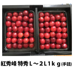  2026N gG G L`2L l 1kg ۊ R` MK  Mtg  l ׋l v[g `F[  TN{  ڍ \ c G 1kg 