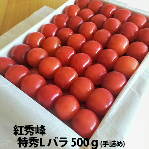  2026N gG G L`2L l 500g ۊ R` MK  Mtg  l ׋l v[g `F[  TN{  ڍ \ c G 1kg 