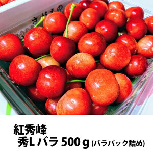  2026N gG G L opbNl 500g ۊ R` MK  Mtg  l ׋l v[g `F[  TN{  ڍ \ c G 1kg 