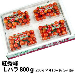  2026N gG L t[hpbNl 800g ۊ R` MK  Mtg  l ׋l v[g `F[  TN{  ڍ \ c G 1kg 