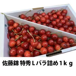  2026N  G L ol 1kg ۊ R` MK  Mtg  l ׋l v[g `F[  TN{  ڍ \ c G 1kg 