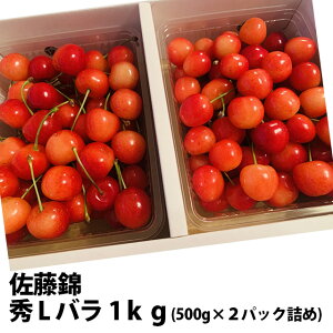  2026N  G L opbNl 1kg ۊ R` MK  Mtg  l ׋l v[g `F[  TN{  ڍ \ c G 1kg 