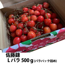 楽天市場】紅秀峰 2lの通販