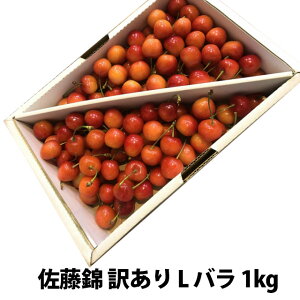  2026N  󂠂 Lȏ ol 1kgS80 ۊ R` MK  Mtg  l ׋l v[g `F[  TN{  ڍ \ c G 1kg 