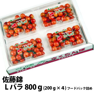  2026N  G L t[hpbNl 800g S9 ۊ R` MK  Mtg  l ׋l v[g `F[  TN{  ڍ \ c G 1kg 
