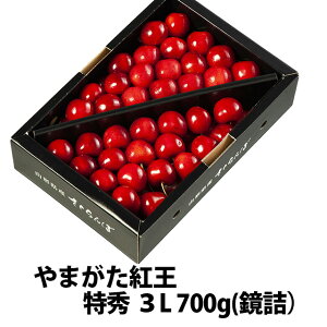  2026N ܂g G 3L 700g l ۊ R` MK  Mtg  l ׋l v[g `F[  TN{  ڍ \ c G 1kg 
