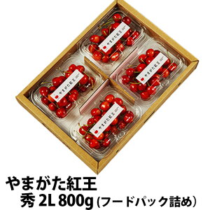  2026N ܂g G 2L 800g t[hpbNl ۊ R` MK  Mtg  l ׋l v[g `F[  TN{  ڍ \ c G 1
