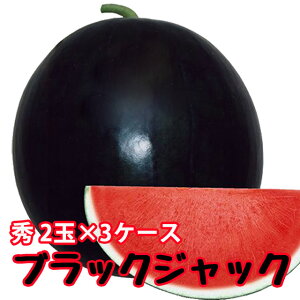 ubNWbN XCJ 햳  y ȂXCJ G2L 2ʓ 3P[X z  ԑXCJ XCJ Z Mtg ~   R` 󂠂 _Y 