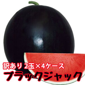 ubNWbN XCJ 햳  y ȂXCJ 󂠂 ƒp 1ʓ 4P[X z  ԑXCJ XCJ Z Mtg  ~  R` 󂠂 _Y 