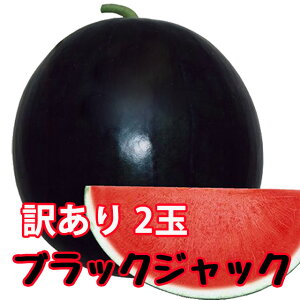 ubNWbN XCJ 햳XCJ  y ȂXCJ 󂠂 ƒp 2ʓ 6kg`7kg z ԑXCJ XCJ Z 󂠂  ~  R`  _Y 