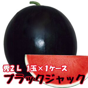 ubNWbN XCJ 햳  y ȂXCJ G2L 1ʓ 1P[X z  ԑXCJ XCJ Z Mtg ~   R` 󂠂 _Y  1   n 